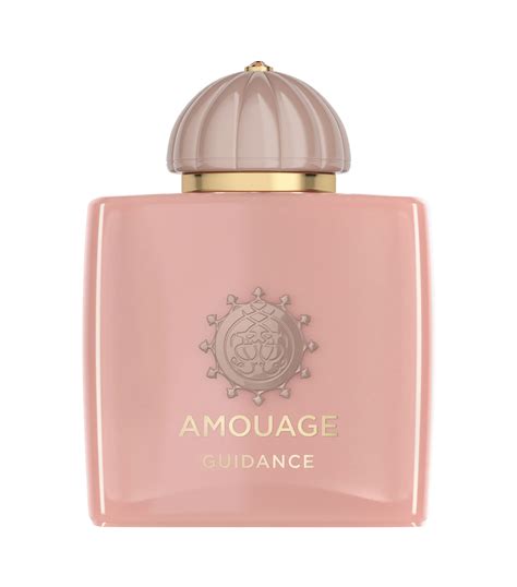 amoge parfum